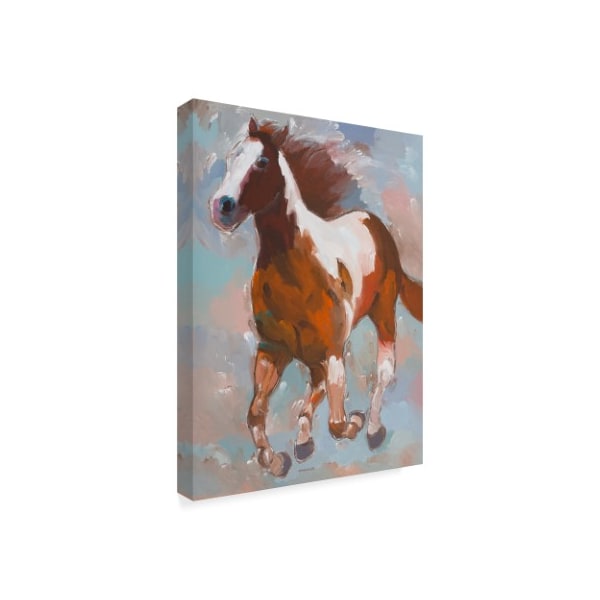 Hooshang Khorasani 'Painted Horse 2' Canvas Art,18x24